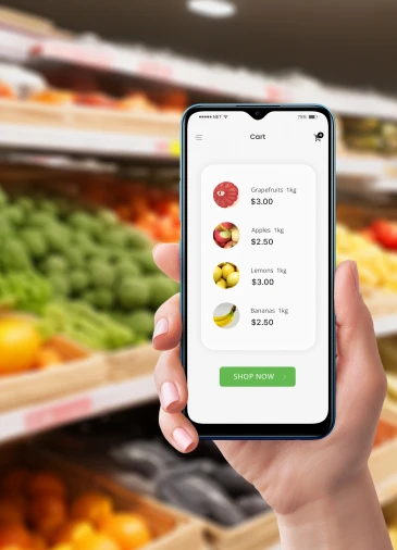 Single Grocery Store